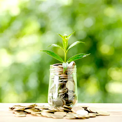 Mutual funds